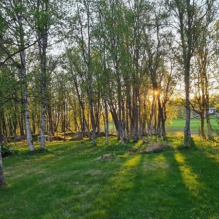 Comfortable Apartment On A Farm With Parking ترومسو المظهر الخارجي الصورة